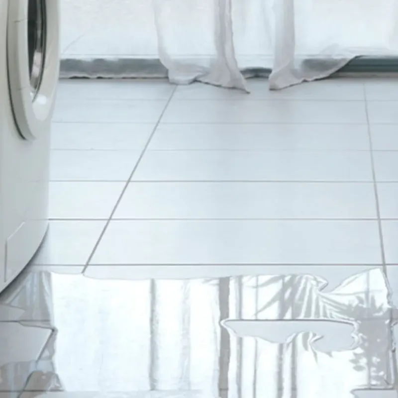 Appliance Leak Cleanup in Walla Walla County, WA